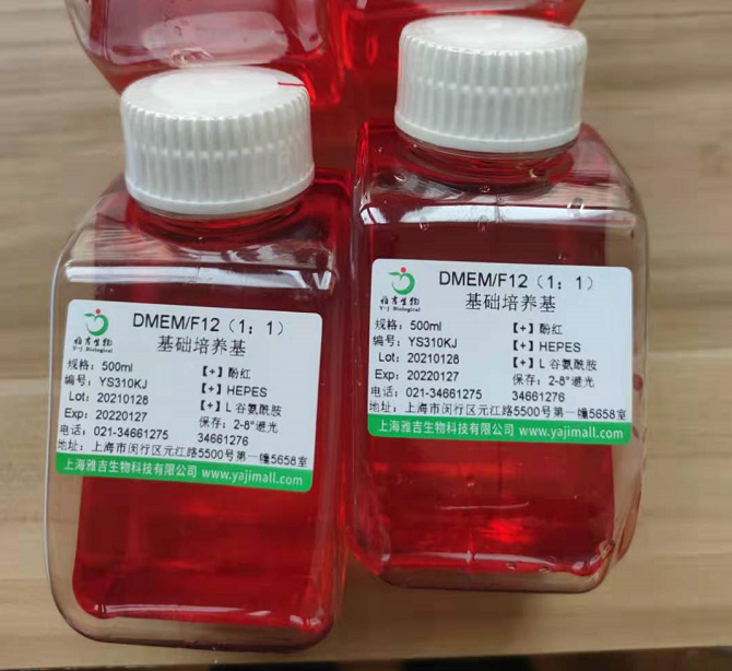 細(xì)胞培養(yǎng)中低劑量輻射會產(chǎn)生DNA斷裂