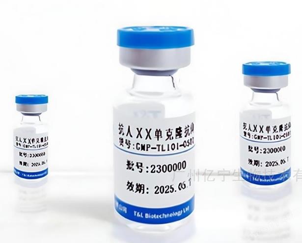 一抗/單抗精準探測生命的分子探針