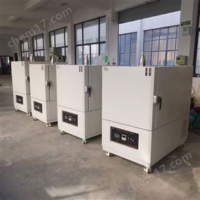 雙內(nèi)膽高溫烘箱 塑料橡膠高溫老化箱300℃