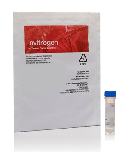Thermo B13423