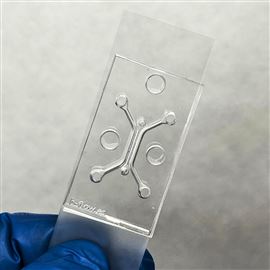 血管芯片BFLOW 器官芯片