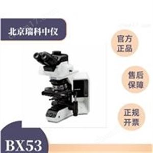 奥林巴斯BX53P显微镜应用于材料偏光分析