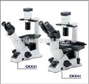 奥林巴斯CKX31/41倒置显微镜  奥林巴斯显微镜价格