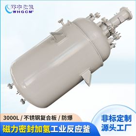 GSH-3000L3000L高压防爆磁力密封加氢反应釜