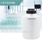 小型氣相液氮罐靜態(tài)存儲系列