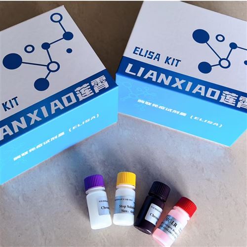 人胃蛋白酶(PEpsin)elisa试剂盒