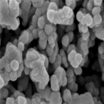 ZnO NPs，氧化锌纳米颗粒