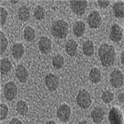 PEG修飾磁性納米顆粒