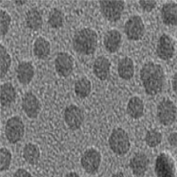 PEG修飾磁性納米顆粒