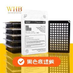WHB-96CB-B96孔黑色底透板