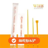 WHB-G29旋轉(zhuǎn)式細胞刮刀（柄長29cm）