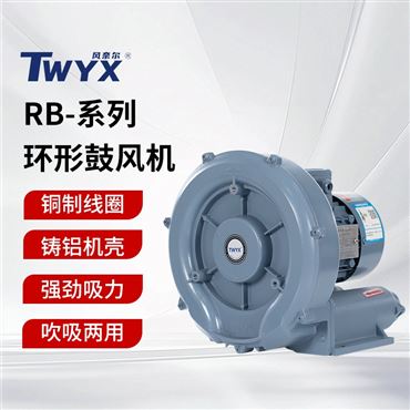 RB耐高溫高壓風(fēng)機(jī)