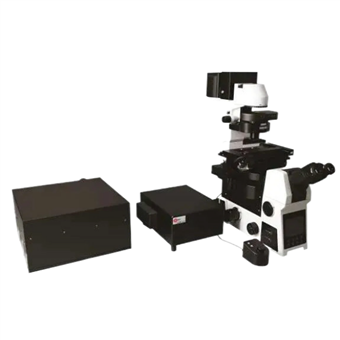 共聚焦扫描成像显微镜