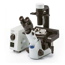 CKX53Olympus倒置生物显微镜