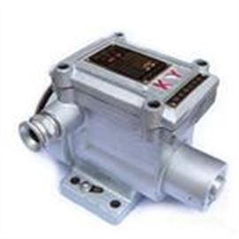 DS-30-II矿用爆电磁锁DS-30-II