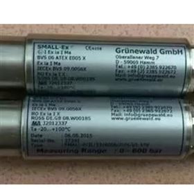 德國Grunewald測量儀SMALL-P/RG/12