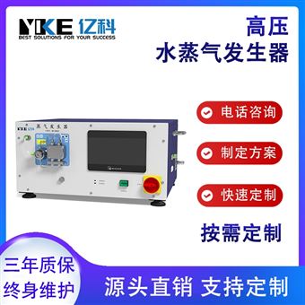 小型過熱蒸汽發生器
