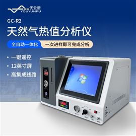 天然气热值分析仪