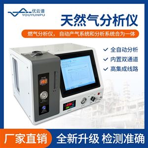 天然气常量组分分析仪