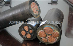 供應(yīng)YCW野外耐油電纜3*35+1*16價(jià)格