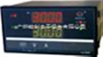 WP-D821-000-0303-NWP-D821-000-0303-N数显仪