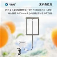 WX-GR150果實生長傳感器