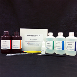 Rapid GolgiStain™ Kit