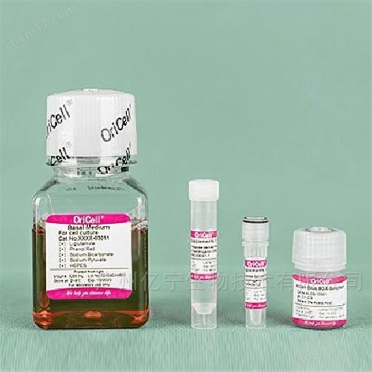 臍帶間充質(zhì)干細(xì)胞成軟骨誘導(dǎo)分化培養(yǎng)基