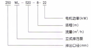 100WL45-30-7.5立式排污泵管道安装