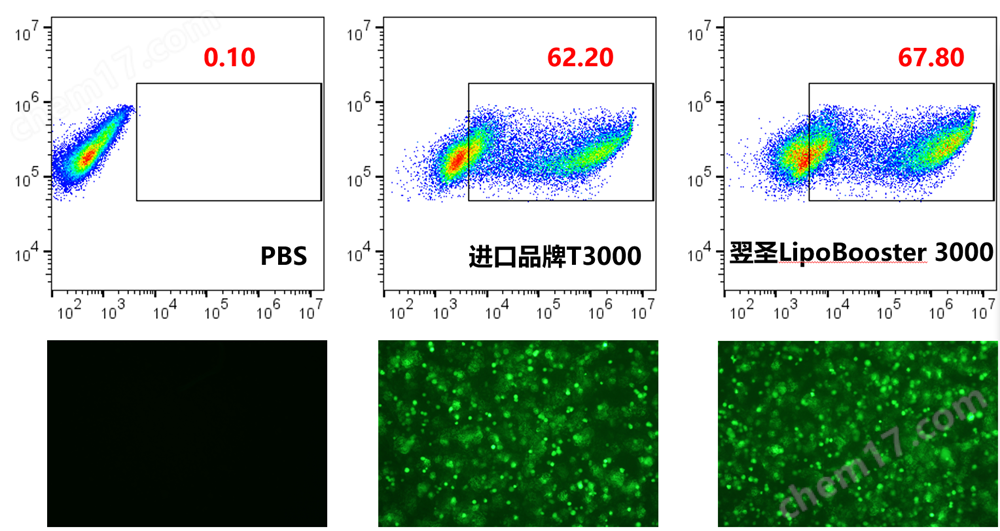 Hieff Trans® LipoBooster 3000 Transfection Re