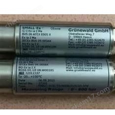 德国Grunewald测量仪SMALL-P/RG/12