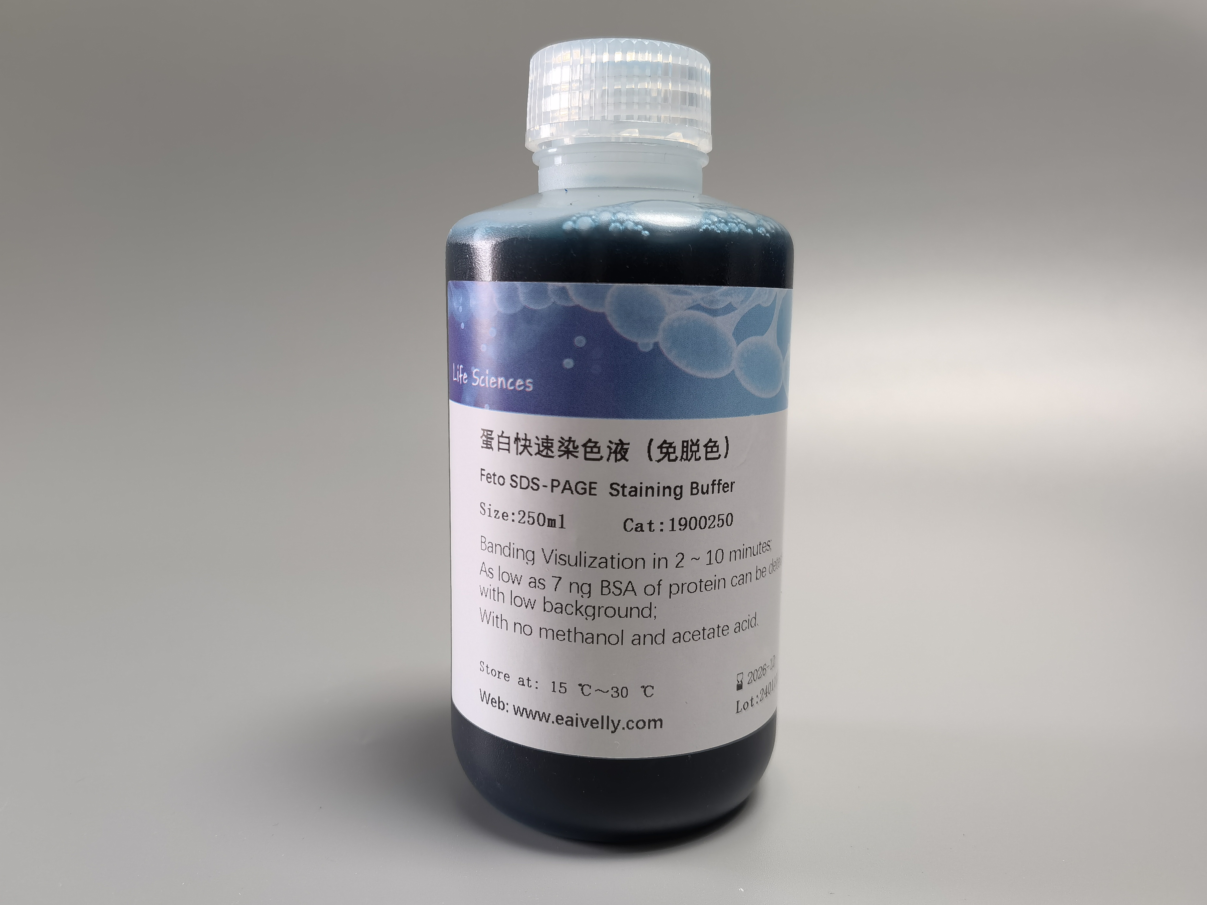 Feto SDS-PAGE 蛋白快速染液（免脫色）產(chǎn)品技術(shù)文章