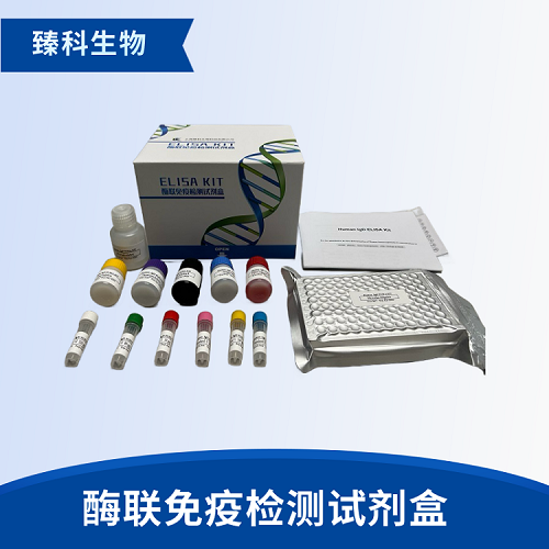 人β防御素1(DEFB1）酶聯(lián)免疫試劑盒使用說明書