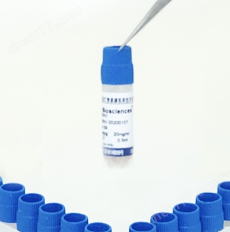 SD大鼠肝5α-還原酶