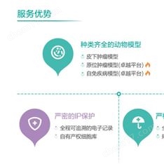 藥效評價CRO服務-雛田