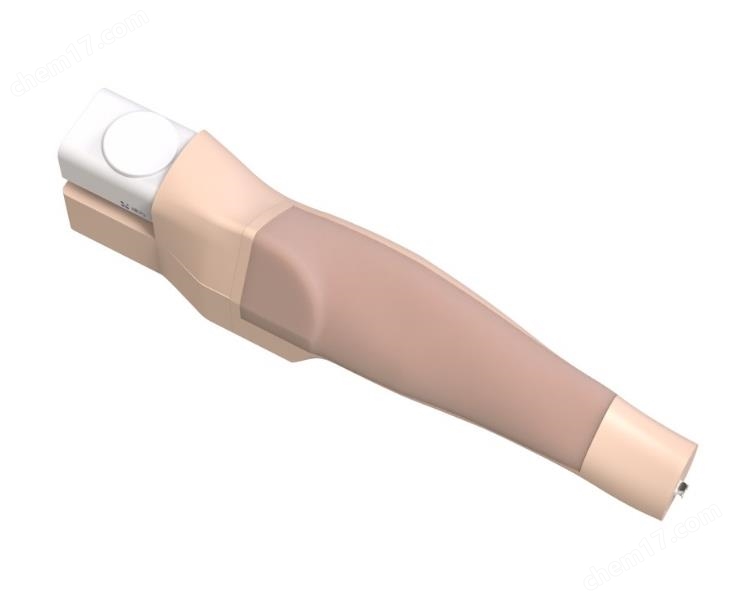 大隱靜脈穿刺模型