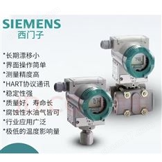 西門子DS III 系列壓力變送器