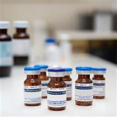 相對分子質量校正曲線標準品