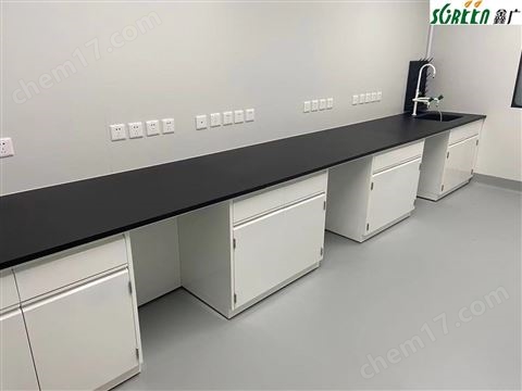 實(shí)驗(yàn)室器皿柜定制全鋼試劑柜試驗(yàn)室家具