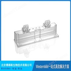 Biotides博泰斯 二聯(lián)制膠底座 制膠架