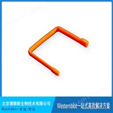 Biotides U型密封條