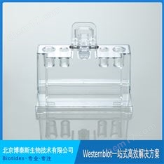 Biotides博泰斯 制膠底座 制膠架