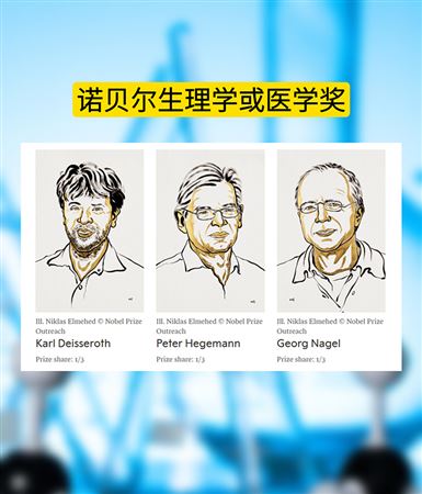 重磅！2026诺贝尔奖三大成果速览
