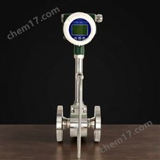 渦街流量計(jì)