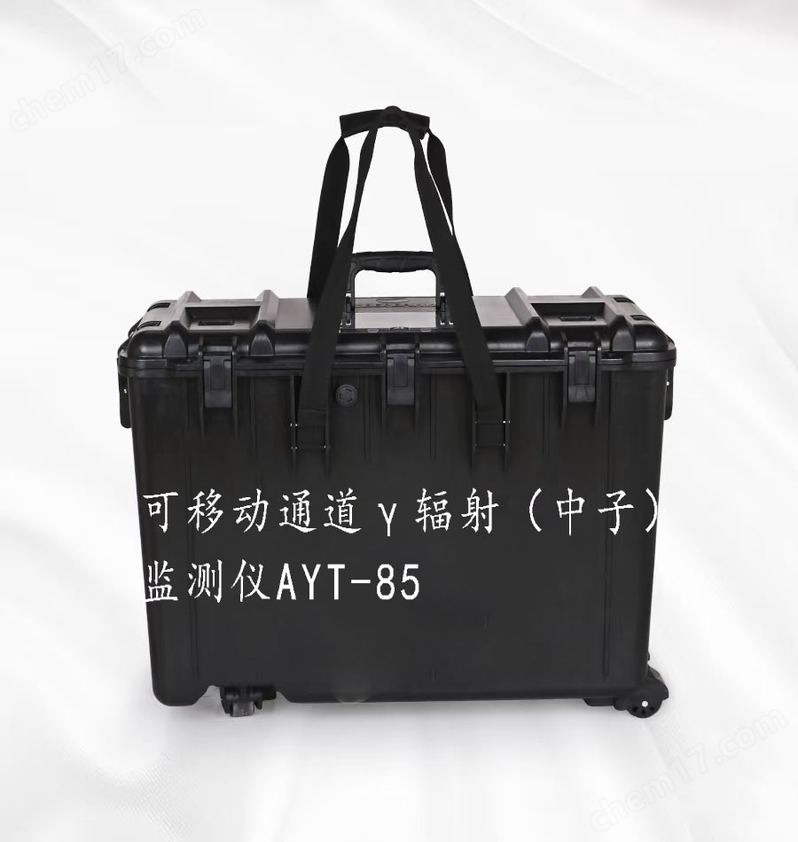 場(chǎng)所（通道）輻射探測(cè)儀KUH-84