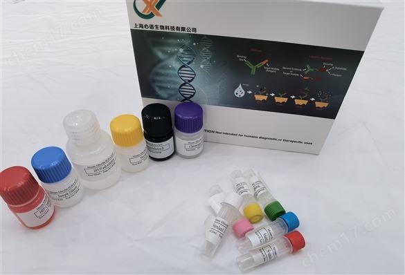 人DNA甲基化轉(zhuǎn)移酶3A(DNMT3A)ELISA試劑盒