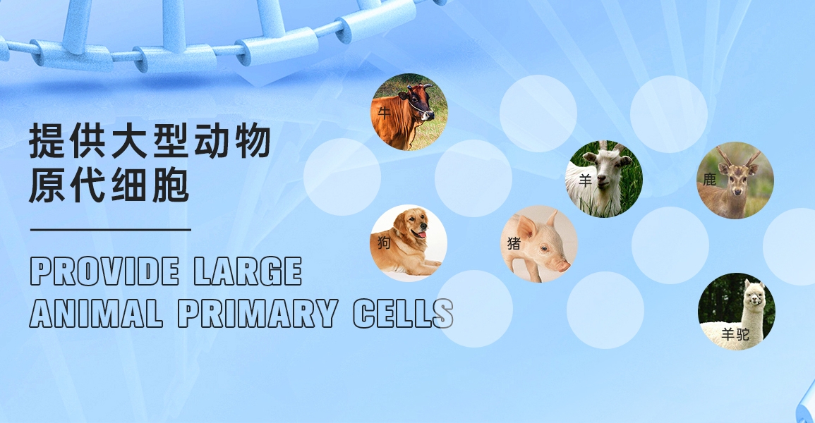 3468篇SCI背后的細(xì)胞暗物質(zhì)：iCell用戶年均“榨出