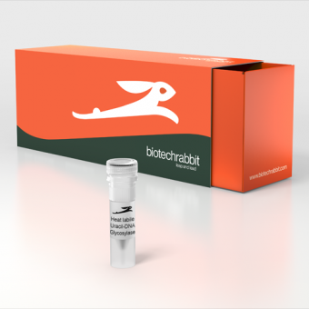 biotechrabbit 2025年授權代理-上海起發