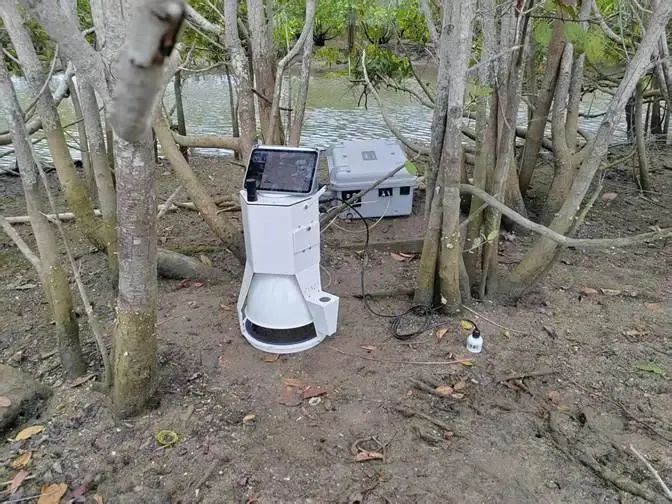 聚焦雙碳目標 共繪藍海藍圖