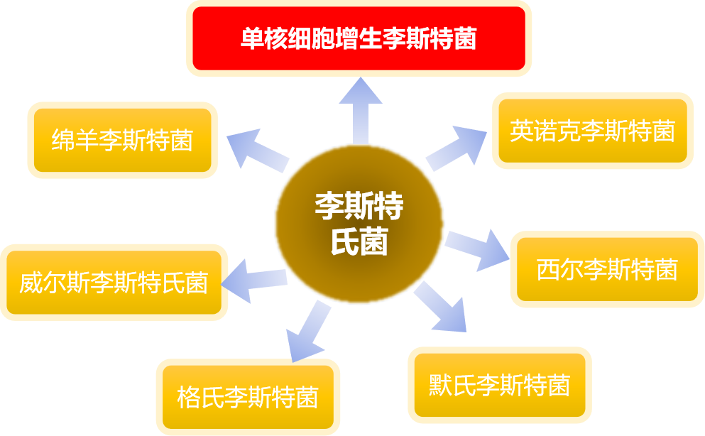 圖片2.png